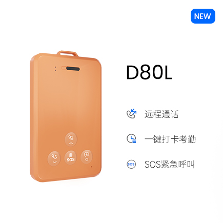 D80L.jpg